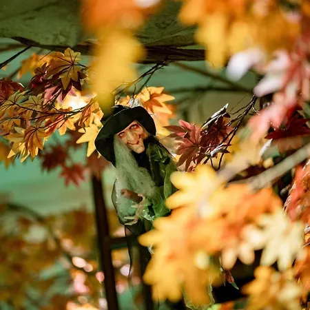 Restaurant Hexenalm فندق 4*