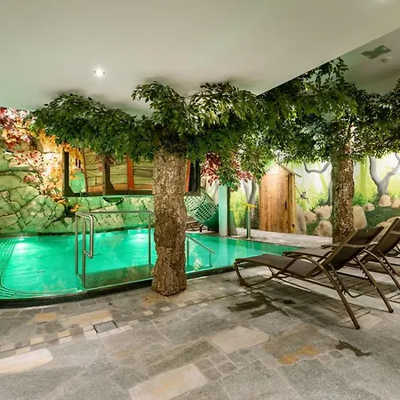 ホテル Restaurant Hexenalm ゼル